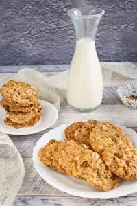 Oaty Raisin Cookies