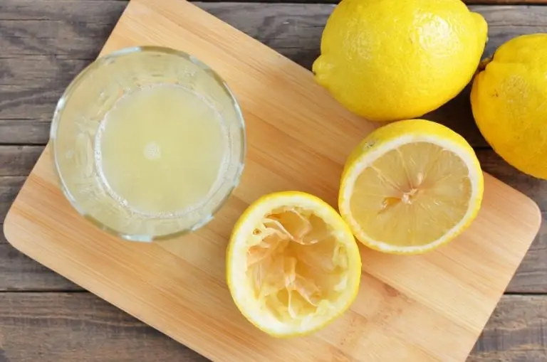 Step 2 - Authentic Homemade Lemonade
