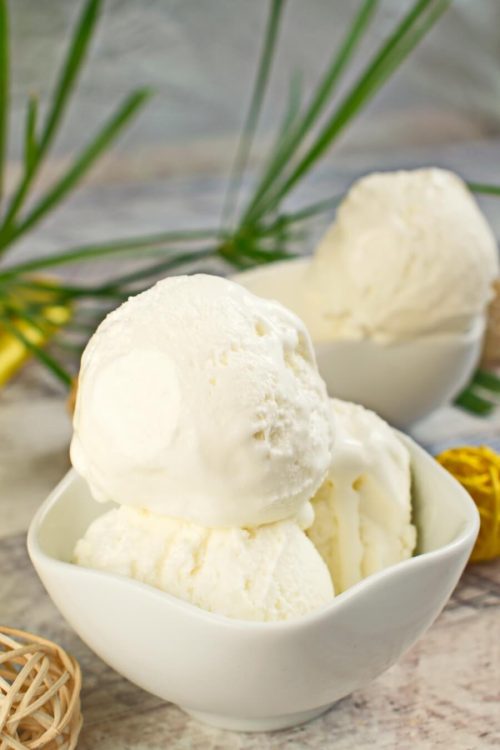 Homemade Vanilla Ice Cream