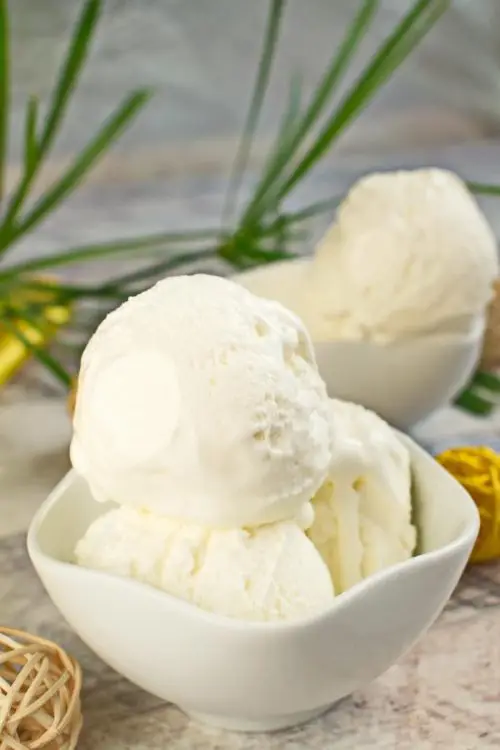 Homemade Vanilla Ice Cream