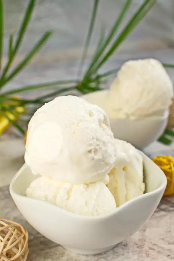 Homemade Vanilla Ice Cream Recipe Cook.me Recipes