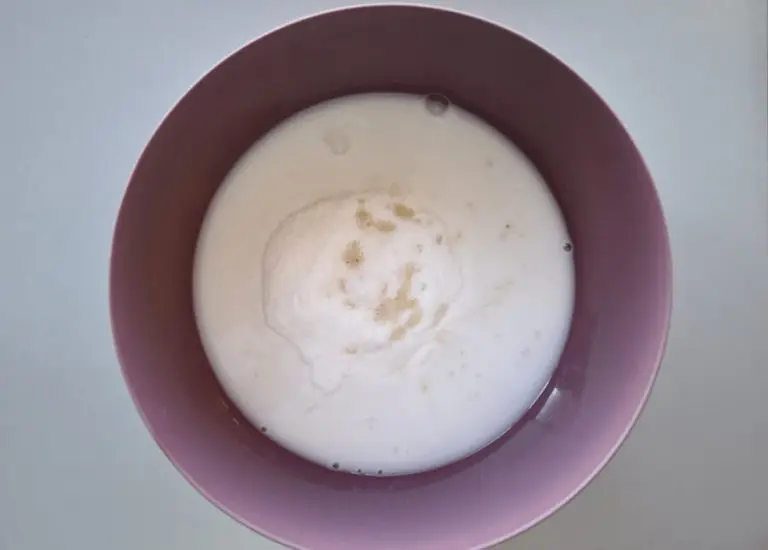 Step 1 - Keto Vanilla Ice Cream