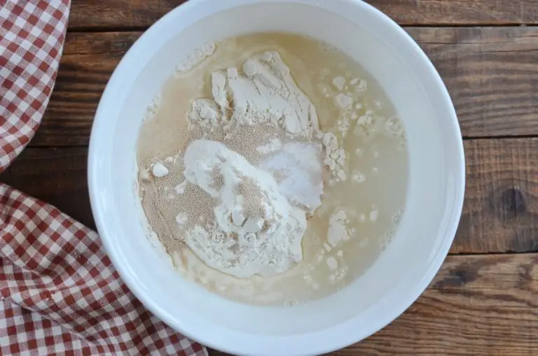 Step 1 - Brooklyn Style Pizza Dough