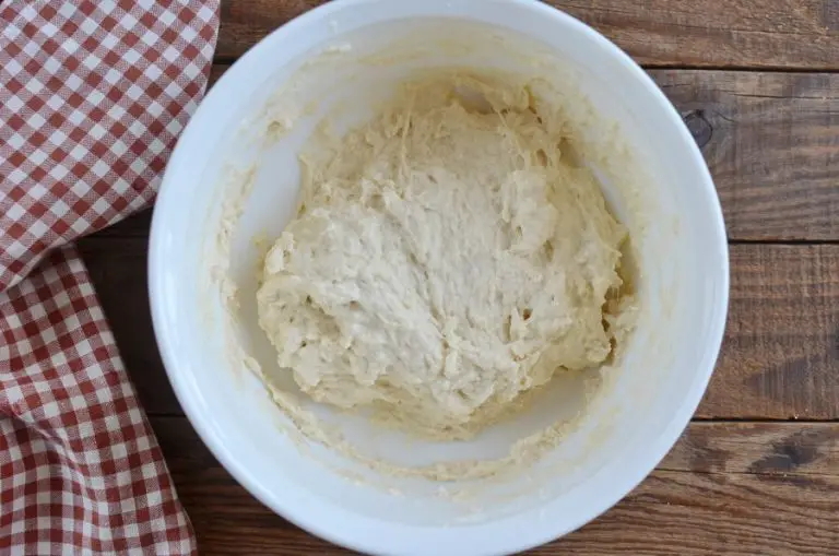 Step 2 - Brooklyn Style Pizza Dough