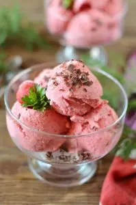 Five Minute Ice Cream