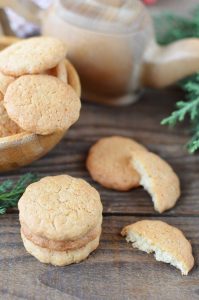 Delicious Icelandic Pepper Cookies