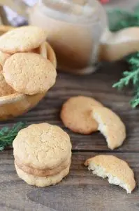 Delicious Icelandic Pepper Cookies