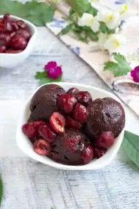 Vegan Chocolate Cherry Sorbet