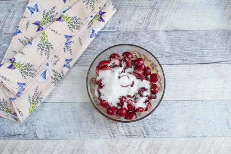 Step 5 - Vegan Chocolate Cherry Sorbet
