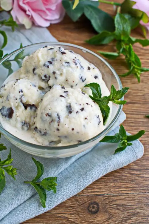 Fresh Mint Gelato