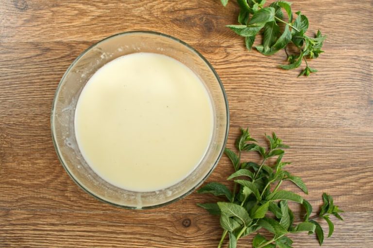 Fresh Mint Gelato Recipe Cook.me Recipes