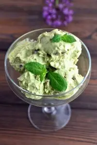Keto Low Carb Mint and Chocolate Chip Ice Cream