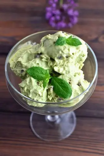 Keto Low Carb Mint and Chocolate Chip Ice Cream