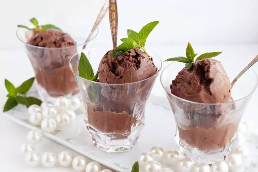 Fresh Mint Dark Chocolate Ice Cream
