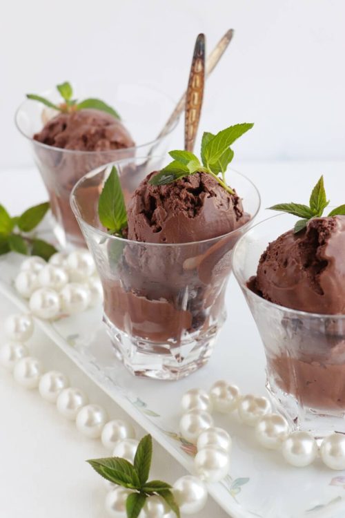 Fresh Mint Dark Chocolate Ice Cream