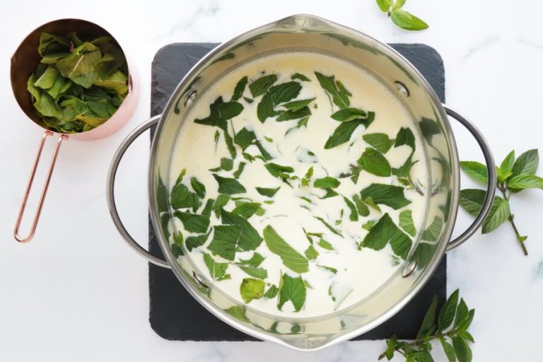 Step 2 - Fresh Mint Dark Chocolate Ice Cream