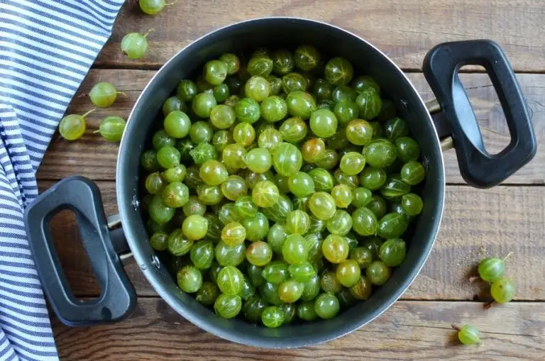 Step 2 - Gooseberry Jam
