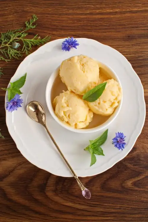 Peach Sherbet