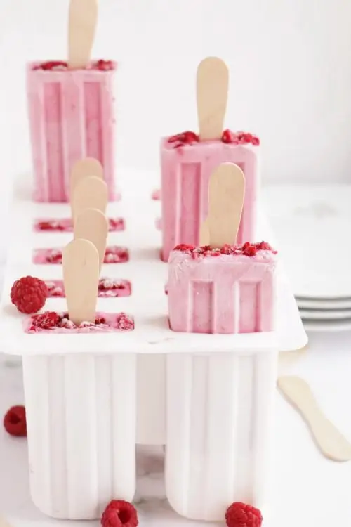 Raspberry Vanilla Yogurt Popsicles