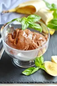 Vegan Chocolate Banana Ice Cream