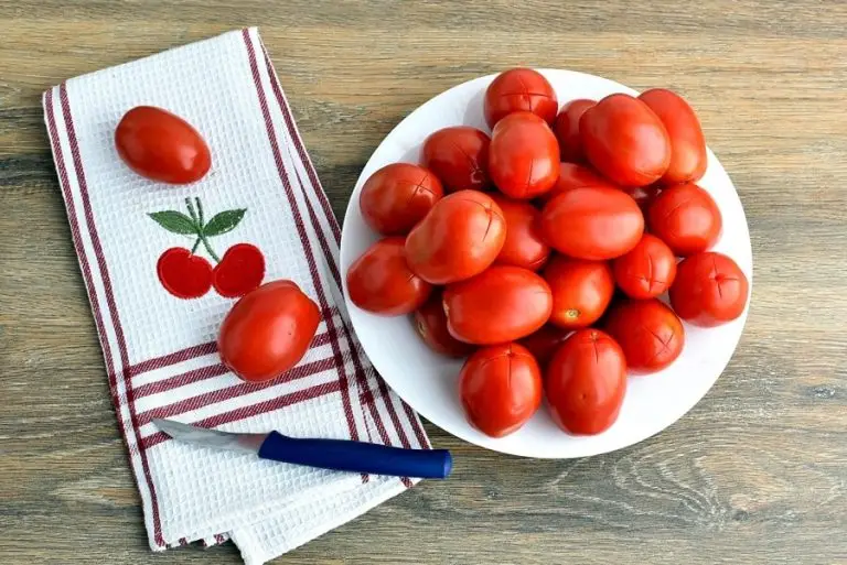 Step 2 - Canning Chopped Tomatoes