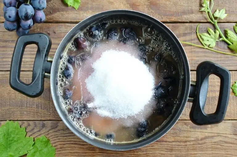 Step 2 - Old Fashioned Grape Jam