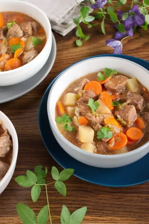 Best Ever Instant Pot Beef Stew