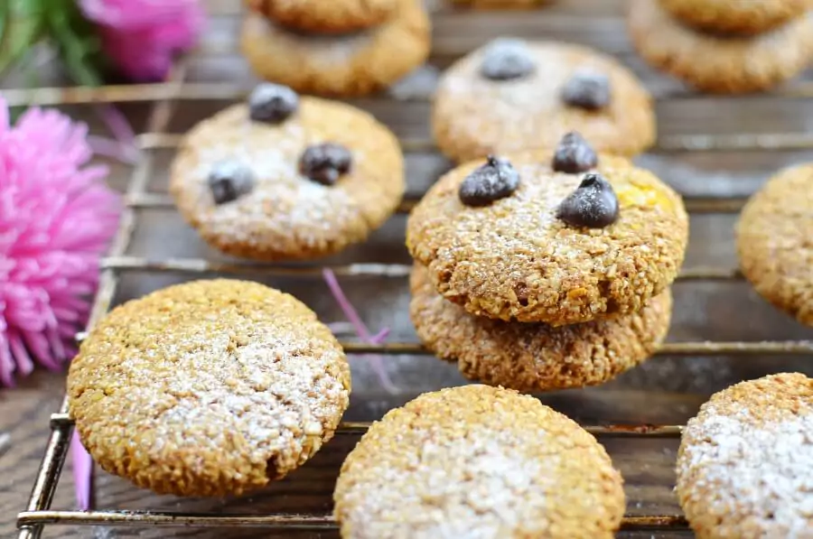 Skinny Pumpkin Protein Cookies