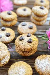 Skinny Pumpkin Protein Cookies
