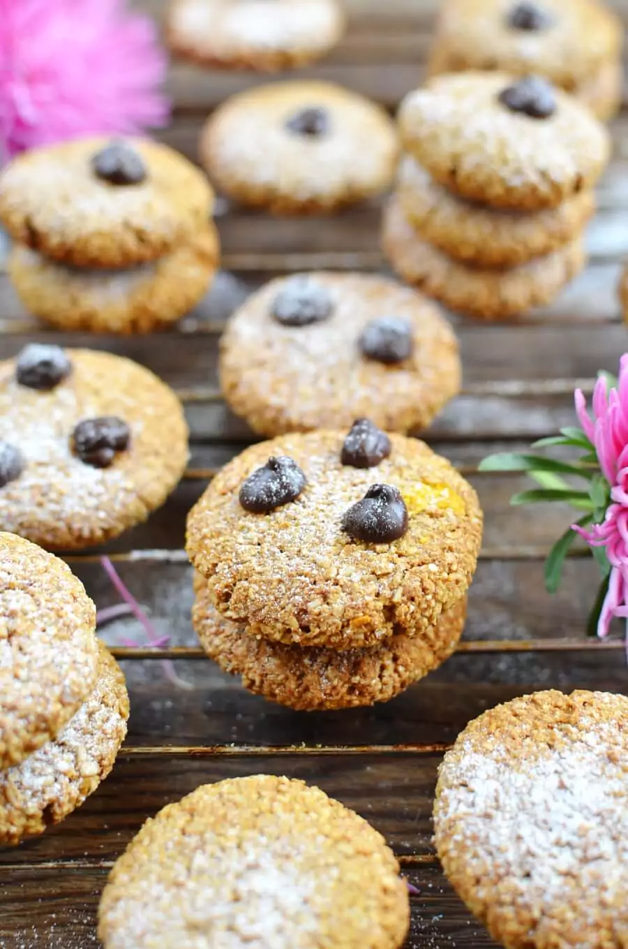 Skinny Pumpkin Protein Cookies