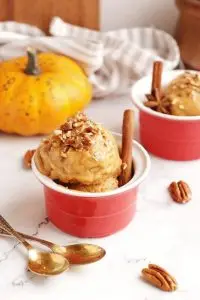 Vegan Pumpkin Pie Ice Cream