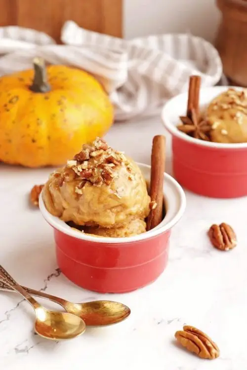 Vegan Pumpkin Pie Ice Cream