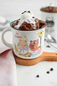 Chocolate Cake in a Mug