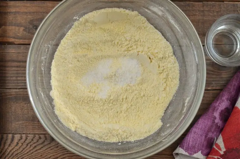 Step 1 - Homemade Gluten-Free Corn Tortilla