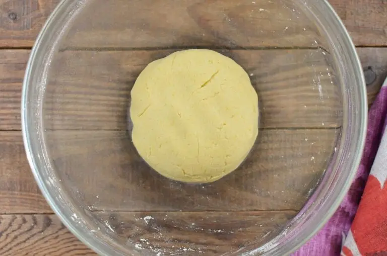 Step 1 - Homemade Gluten-Free Corn Tortilla
