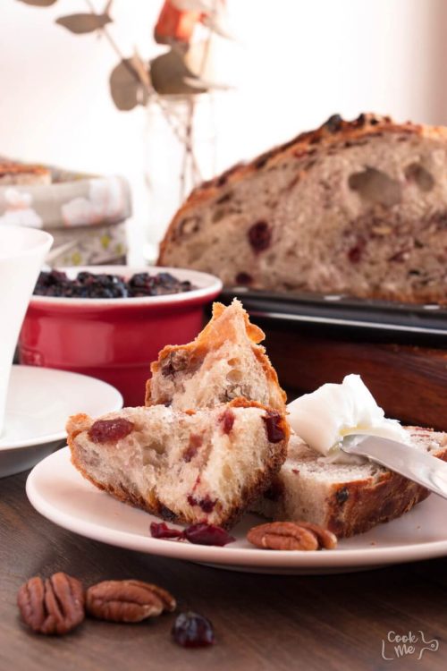 Crusty Cranberry Nut No Knead Bread