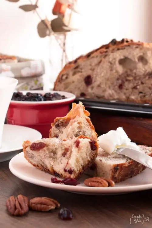 Crusty Cranberry Nut No Knead Bread