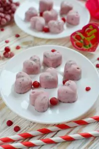 Chocolate-Covered Strawberry Frozen Greek Yogurt Bites