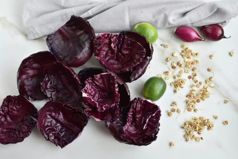Step 2 - Mint Yogurt and Sprout Cabbage Cups