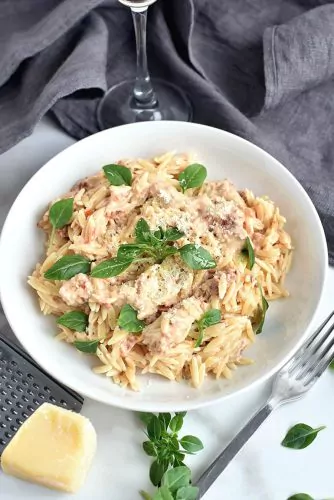 Orzo with Creamy Sun-Dried Tomato Basil Sauce