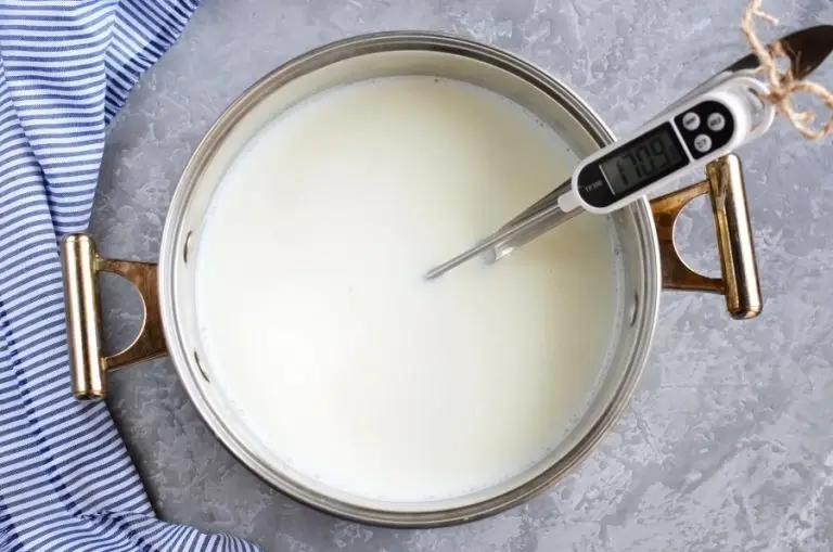 Step 2 - How to make Queso Fresco?
