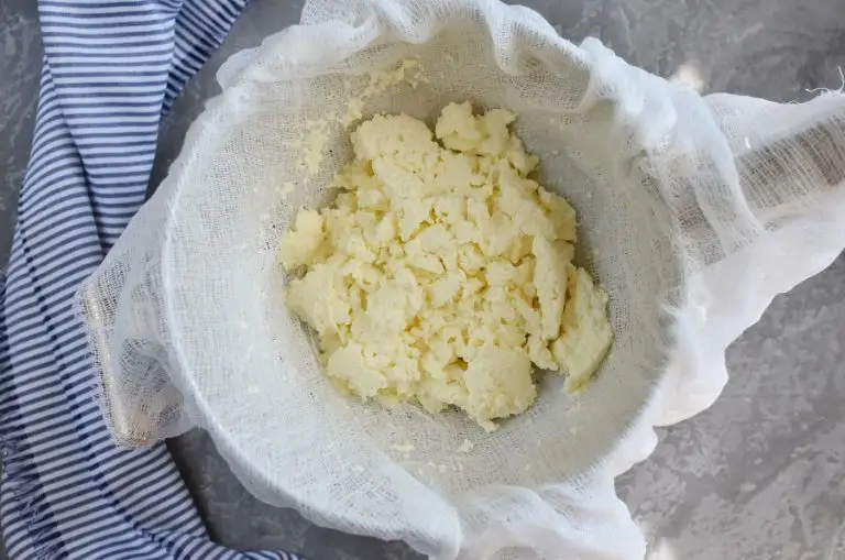 Step 5 - How to make Queso Fresco?