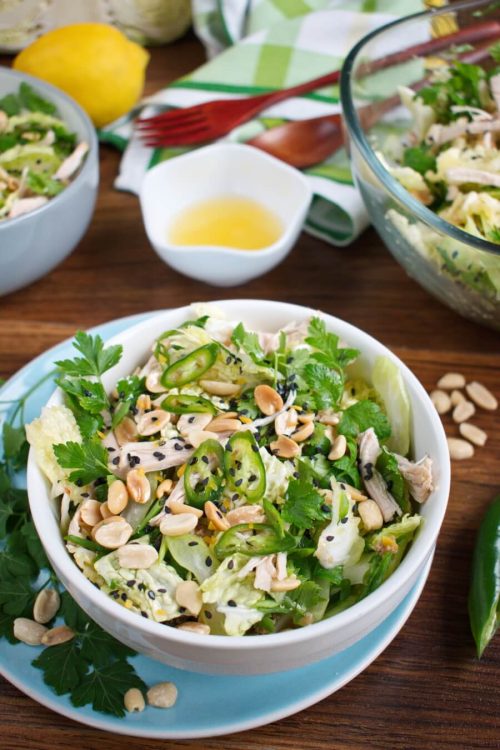 Spicy Cabbage Salad with Turkey and Peanuts