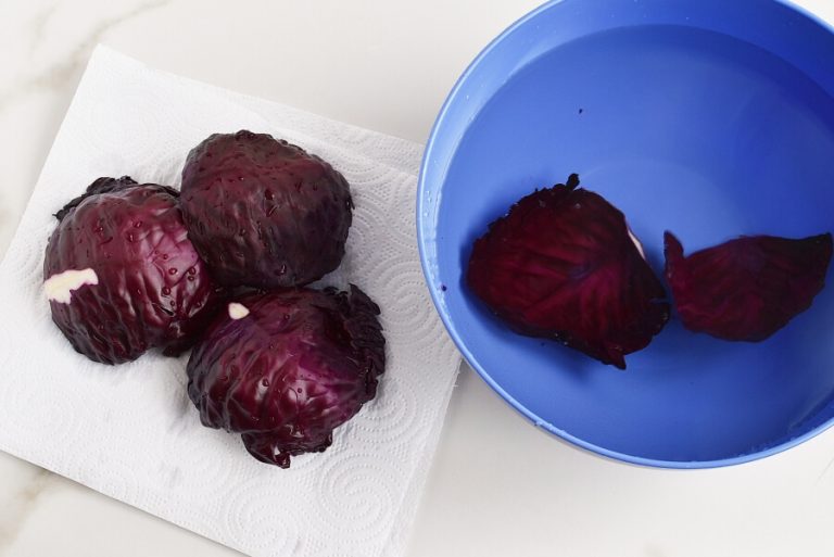 Step 4 - Crunchy Munchy Sprouts Salad in Cabbage Cups