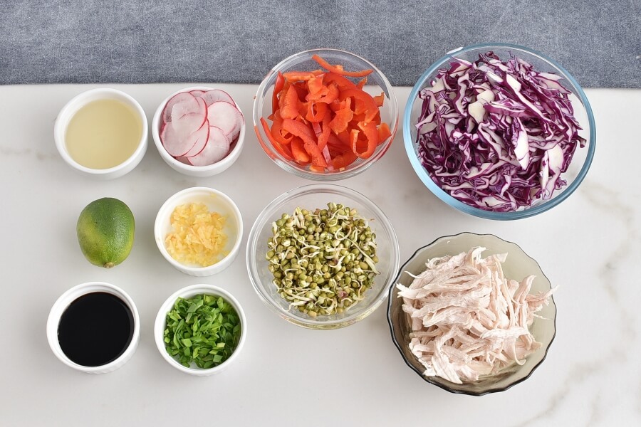 Ingridiens for Red Cabbage Salad with Shredded Chicken