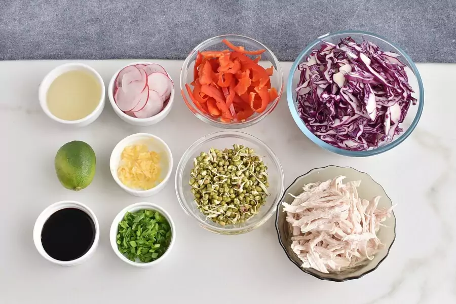 Ingredients for Red Cabbage Salad with Shredded Chicken