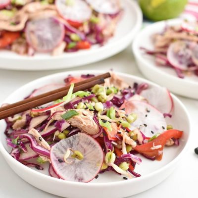 Red Cabbage Salad with Shredded Chicken Recipes–Homemade Red Cabbage Salad with Shredded Chicken–Easy Red Cabbage Salad with Shredded Chicken