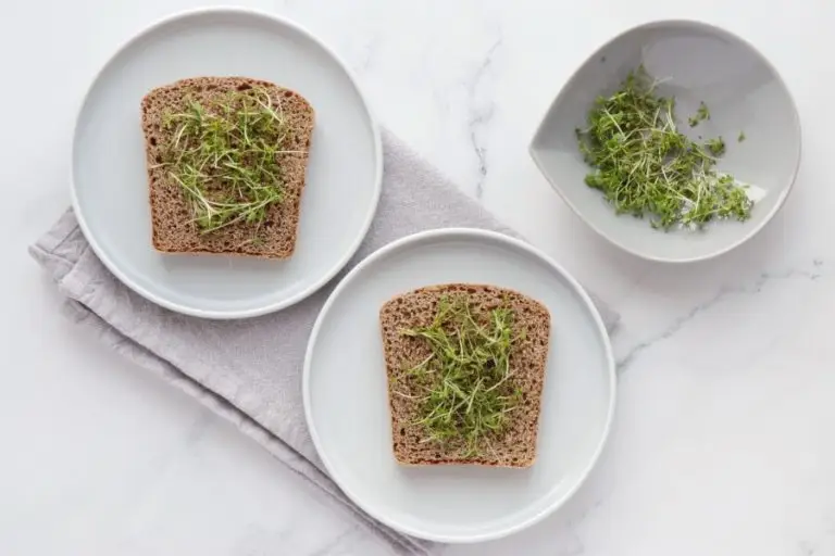 Step 3 - Salad Cress Avocado and Chickpea Open Sandwich