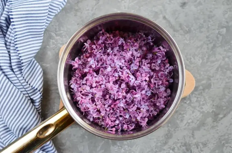 Step 2 - Lilac Syrup