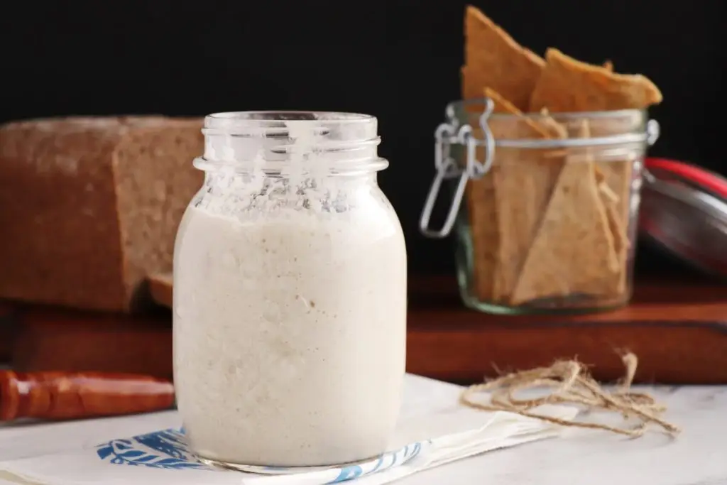 Sourdough Starter